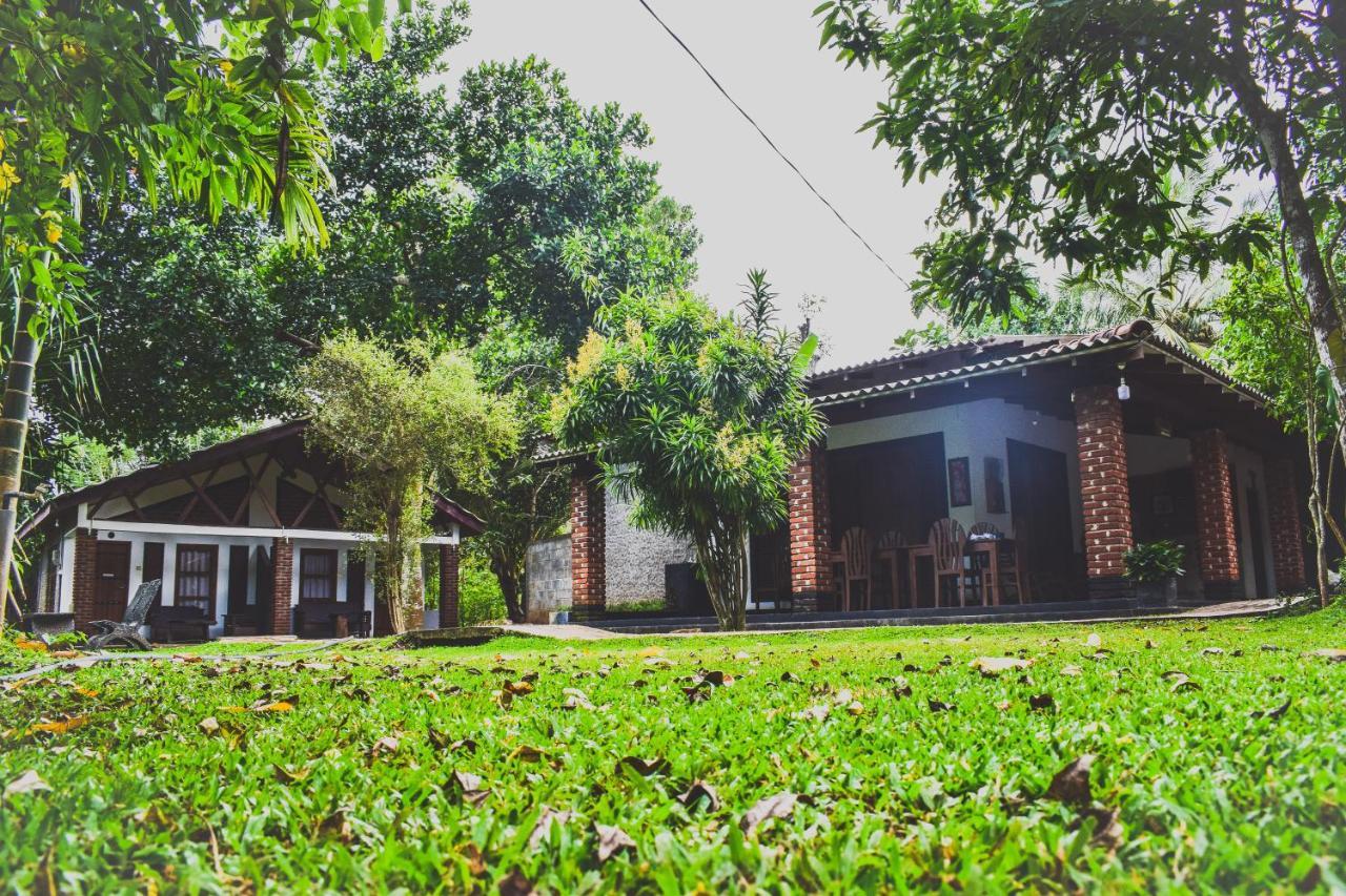 Green Cottage Anuradhapura Exterior foto