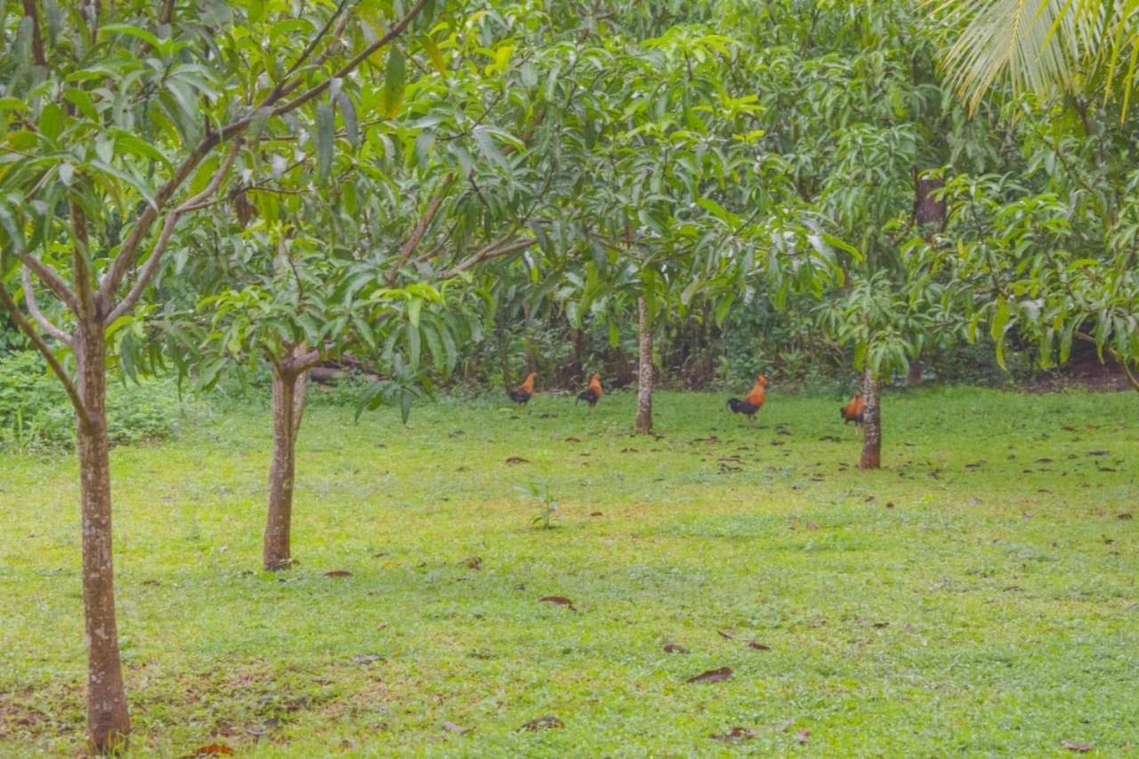 Green Cottage Anuradhapura Exterior foto